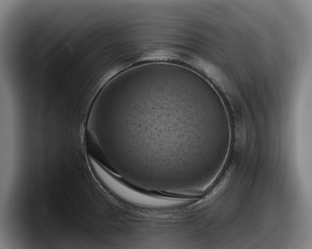 X0000097831329200803201450
