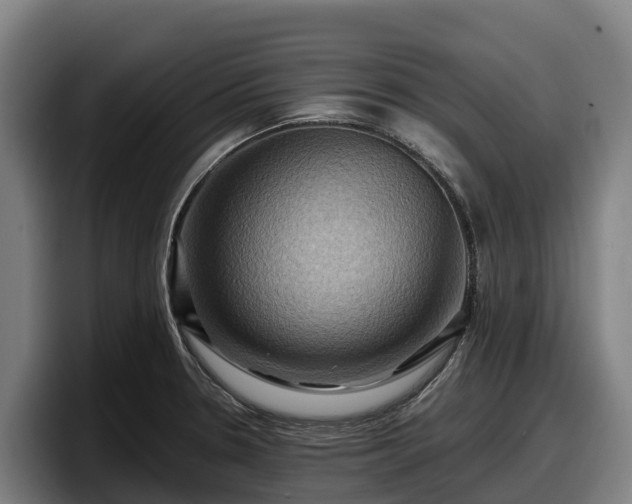 X0000097831330200803201450