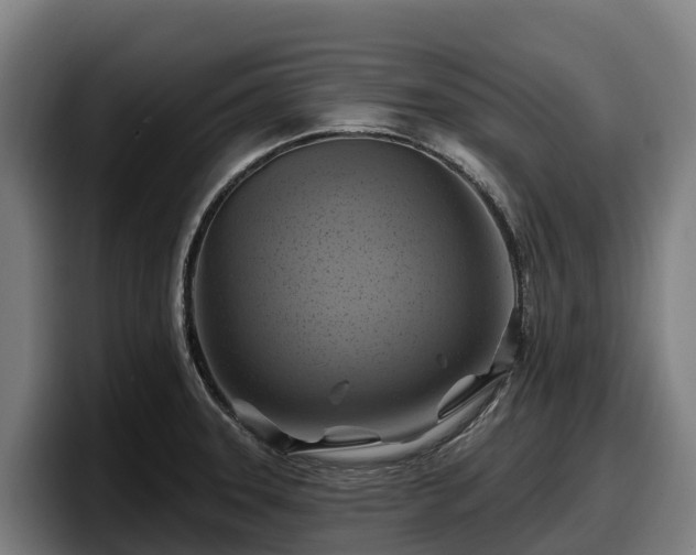 X0000097831331200803201450