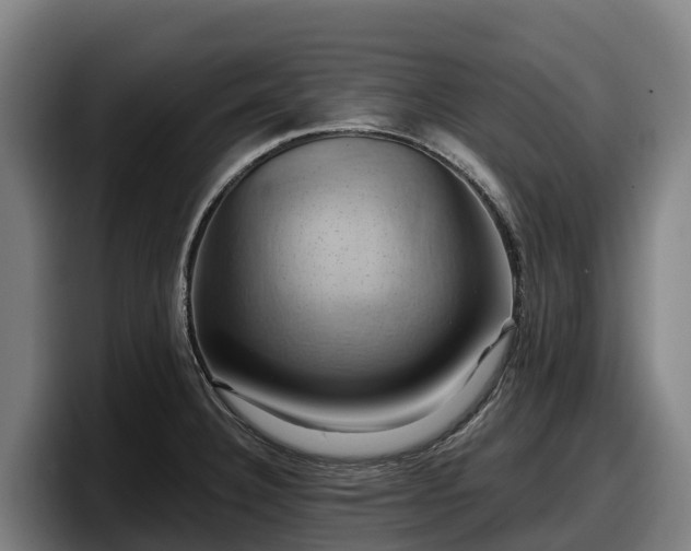 X0000097831332200803201450
