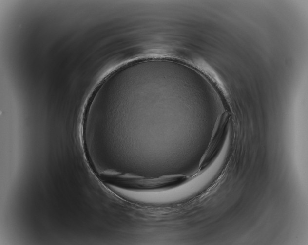 X0000097831334200803201450