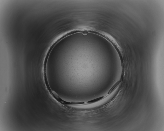 X0000097831335200803201450