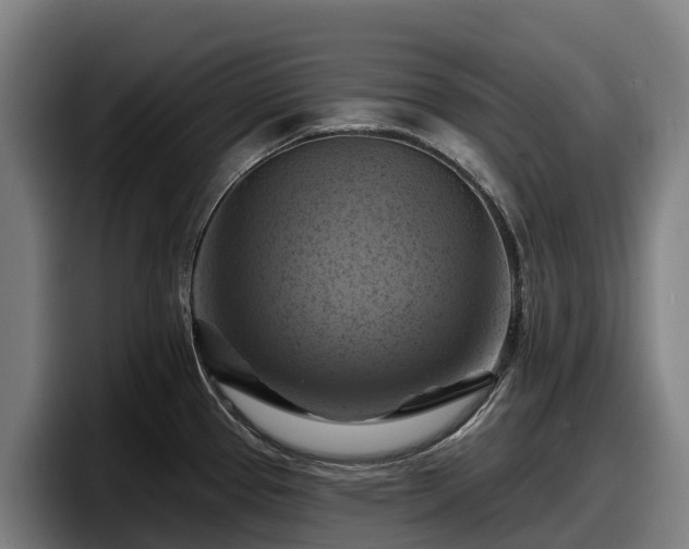 X0000097831337200803201450