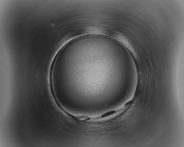 X0000097831339200803201450