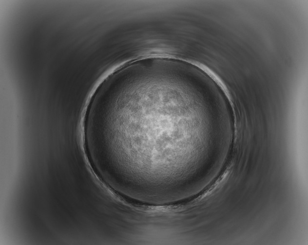 X0000097831341200803201450
