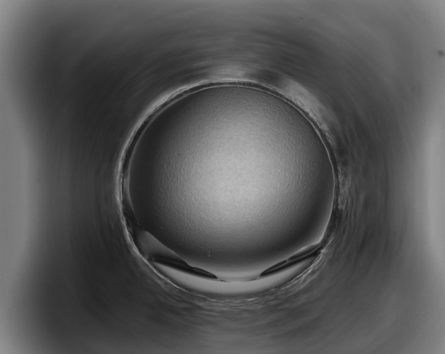 X0000097831342200803201450