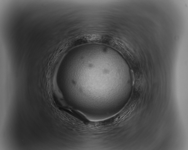 X0000097831345200803201449