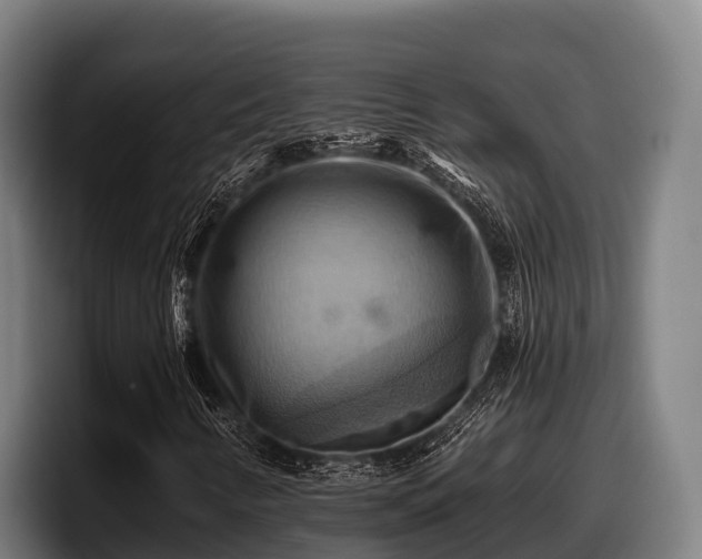 X0000097831346200803201449