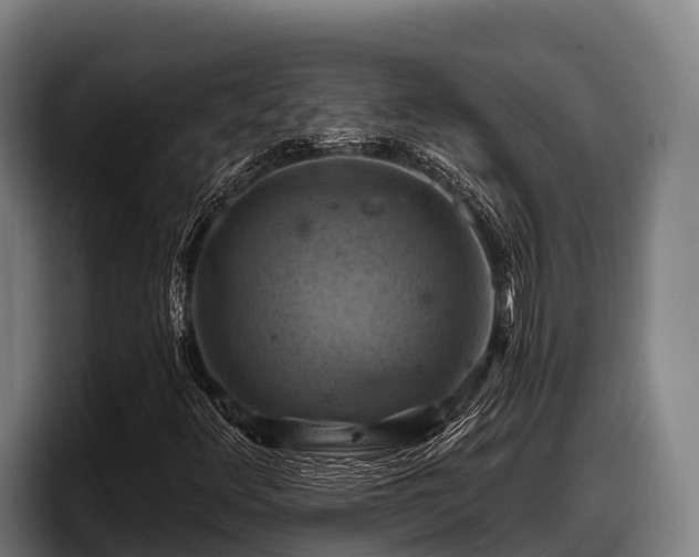 X0000097831348200803201449