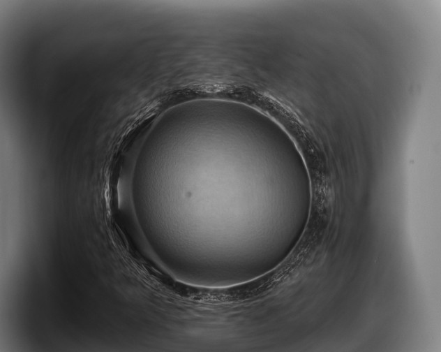X0000097831349200803201449