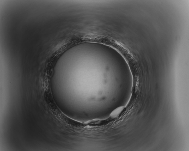 X0000097831350200803201449