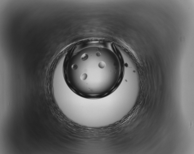X0000097831352200803201449