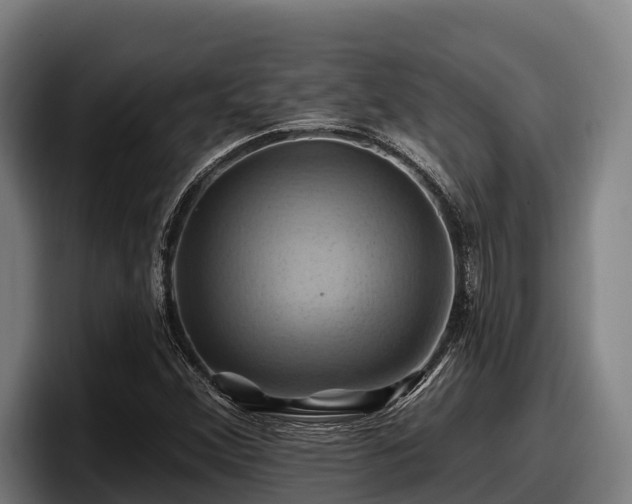 X0000097831356200803201449