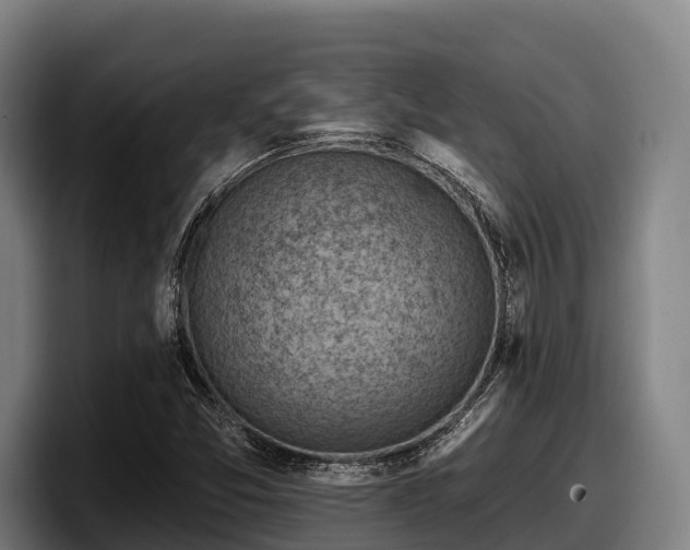 X0000097831357200803201449