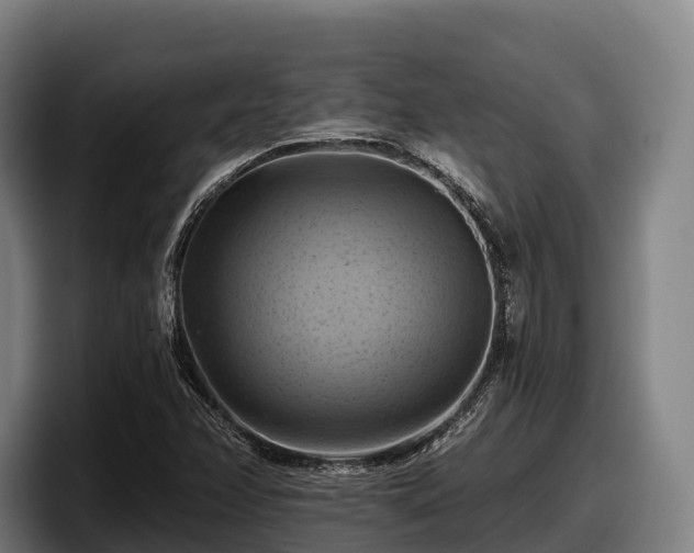 X0000097831358200803201449