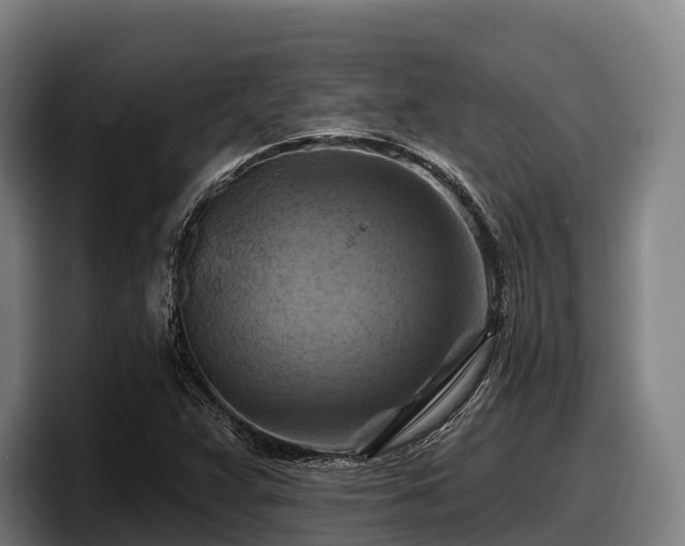 X0000097831359200803201449