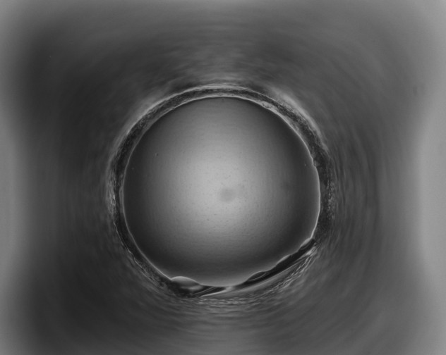 X0000097831360200803201449