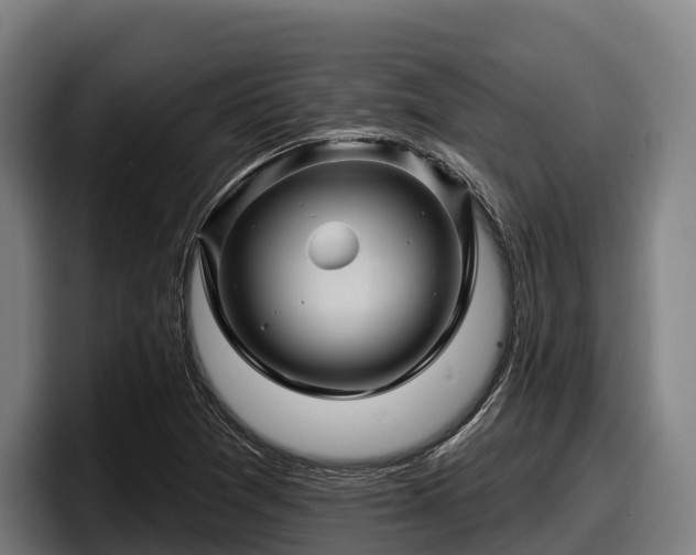 X0000097831361200803201449