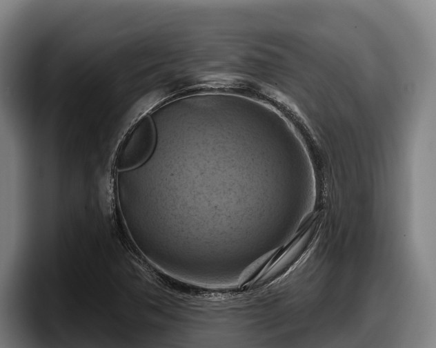 X0000097831362200803201449