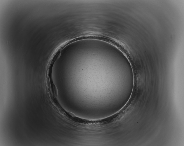 X0000097831363200803201449