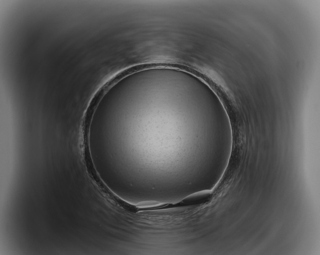 X0000097831364200803201449