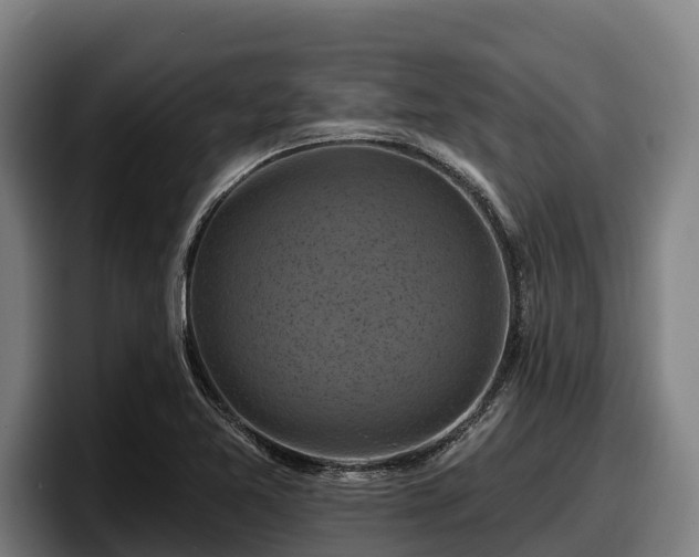 X0000097831365200803201449