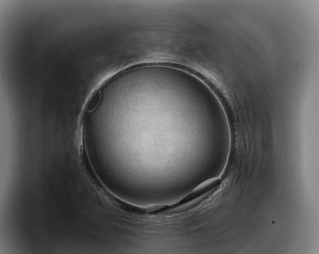 X0000097831366200803201449
