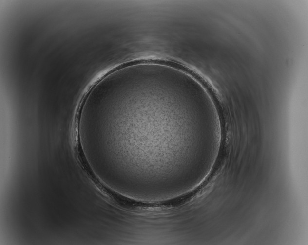 X0000097831367200803201449