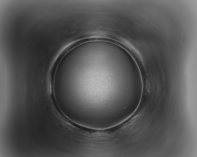 X0000097831368200803201449