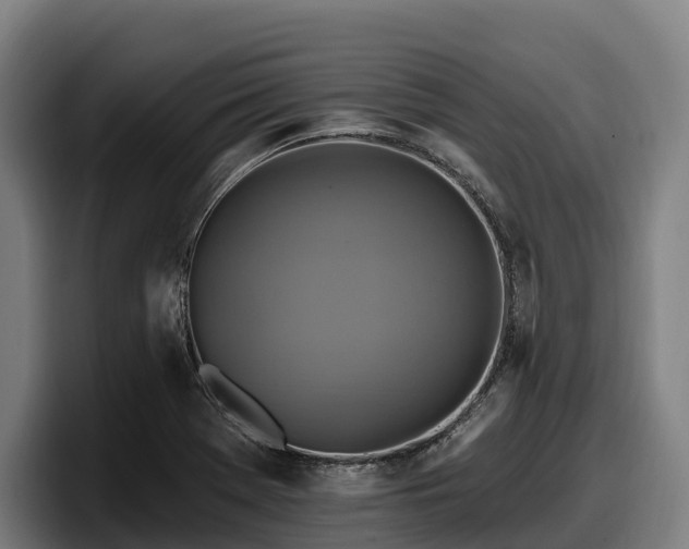 X0000097831369200803201449