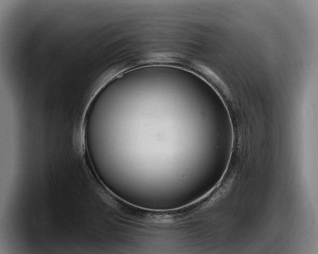 X0000097831370200803201449