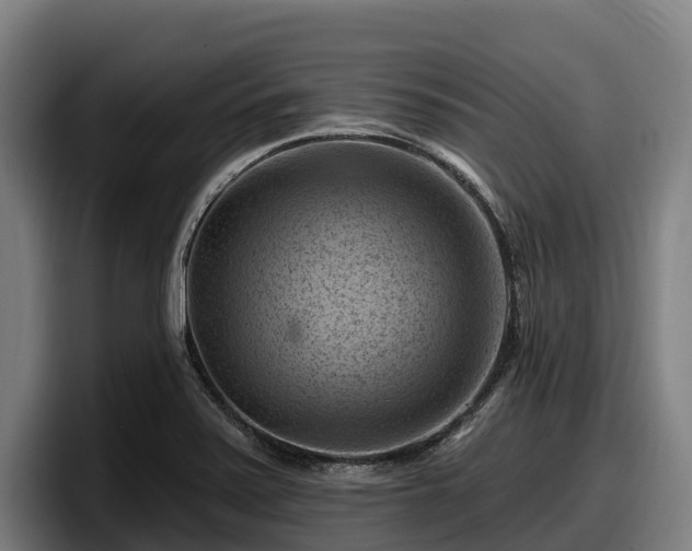 X0000097831371200803201449