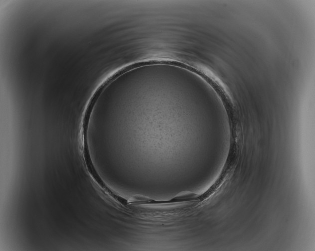 X0000097831372200803201449