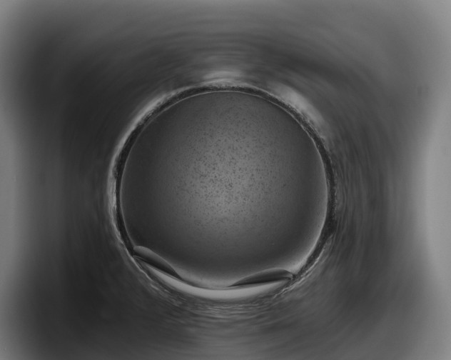 X0000097831376200803201449