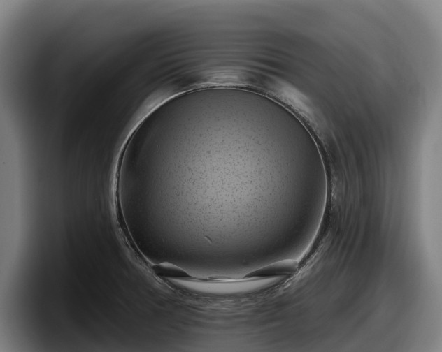 X0000097831378200803201449