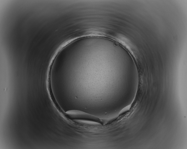 X0000097831379200803201449