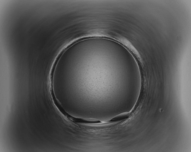 X0000097831380200803201449