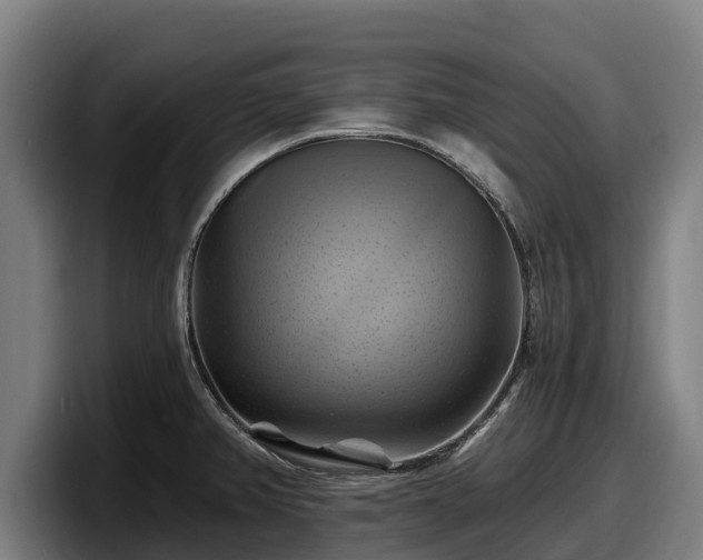 X0000097831382200803201449