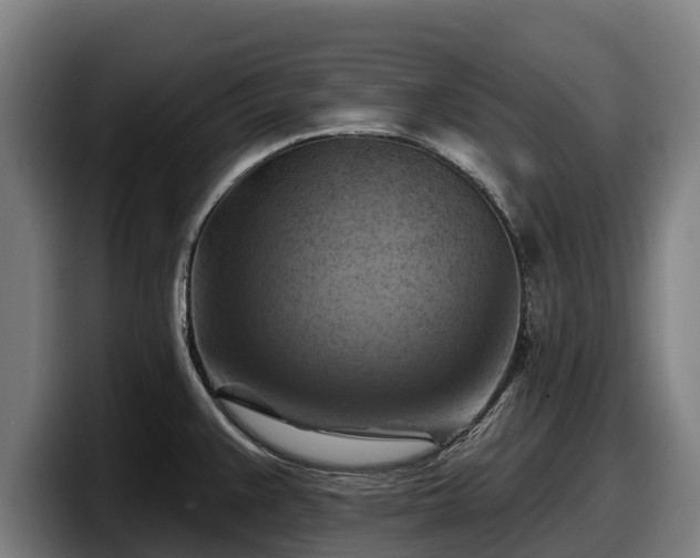 X0000097831383200803201449