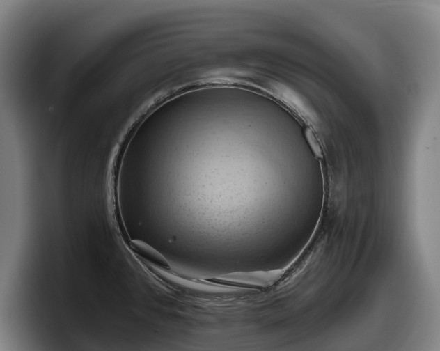 X0000097831384200803201449