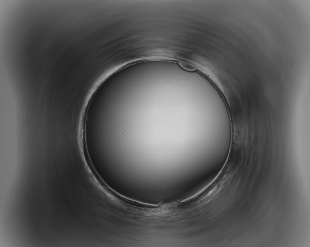 X0000097831387200803201449