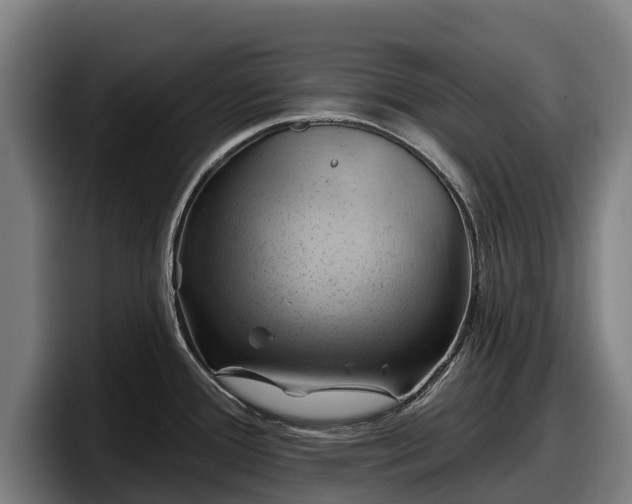X0000097831388200803201449