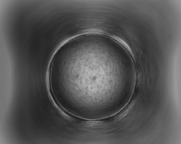 X0000097831391200803201449