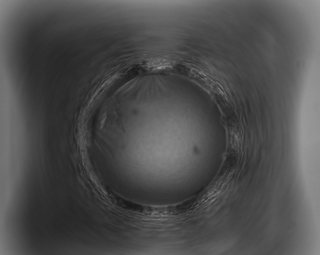 X0000097831393200803201448