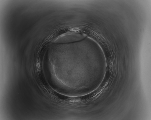 X0000097831394200803201448