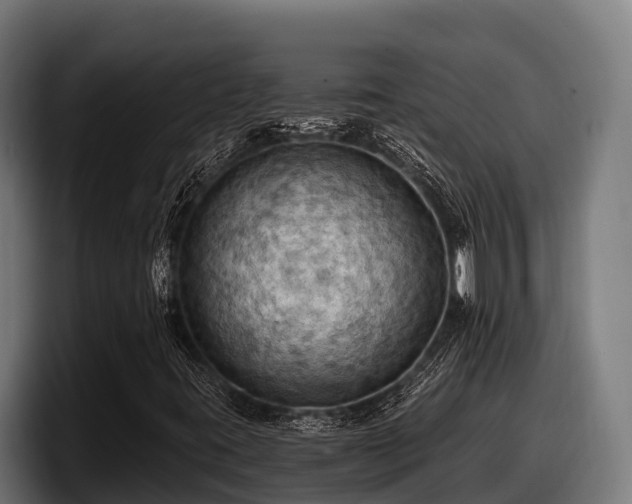 X0000097831395200803201448