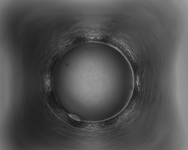 X0000097831396200803201448