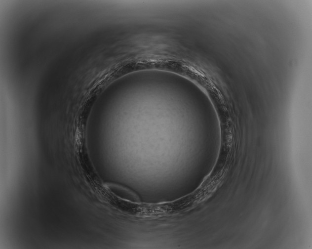 X0000097831397200803201448