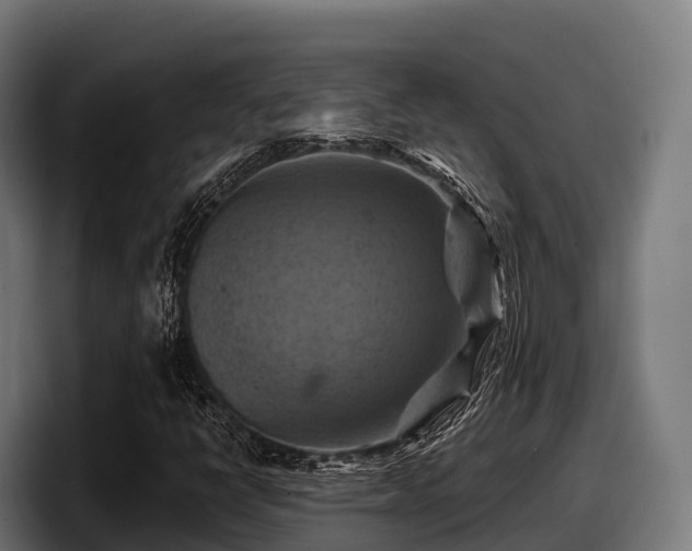 X0000097831398200803201448
