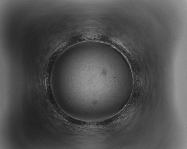 X0000097831399200803201448